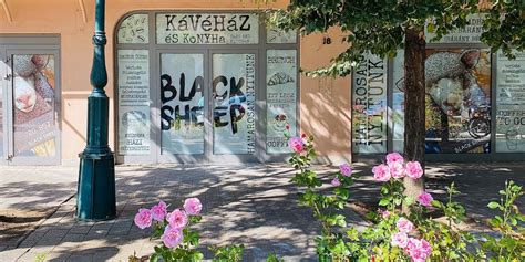 blacksheep gyula|Black Sheep kávéház és konyha